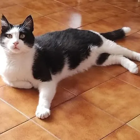 A Casa Di Gigi Apartman *